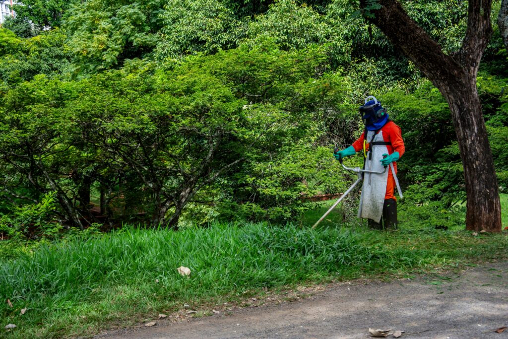 Accueil pexels gaion 20534857