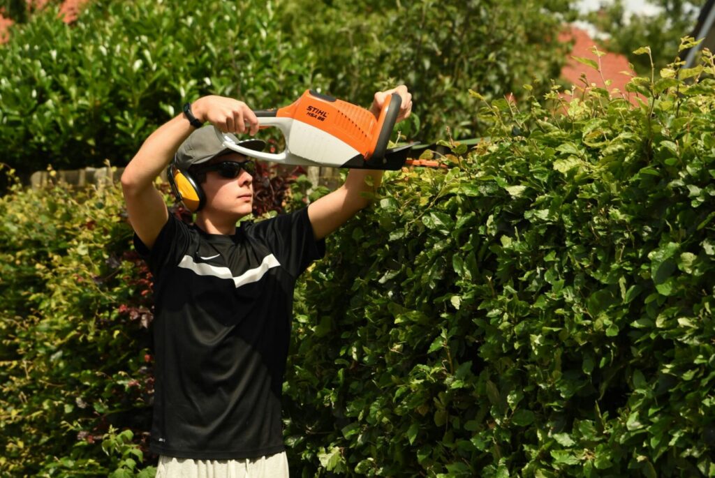 Services pexels indi van kuijk 49914457 7813043