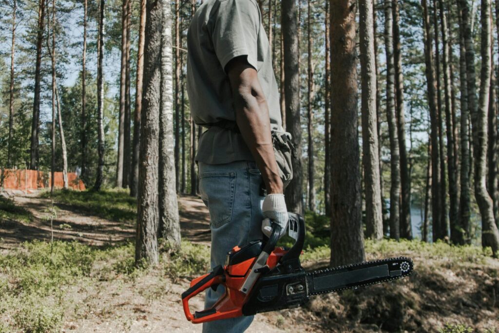 Services pexels ron lach 8821016