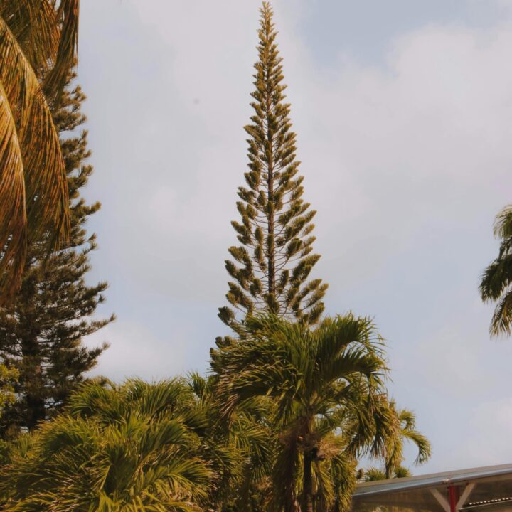 pexels matreding 4389539